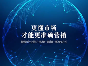 网络营销新篇章：公司展示，全网传播，品牌升级之旅